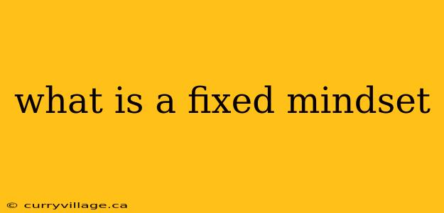 what is a fixed mindset