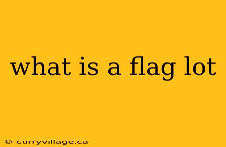 what is a flag lot