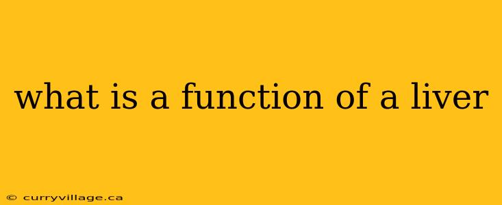 what is a function of a liver