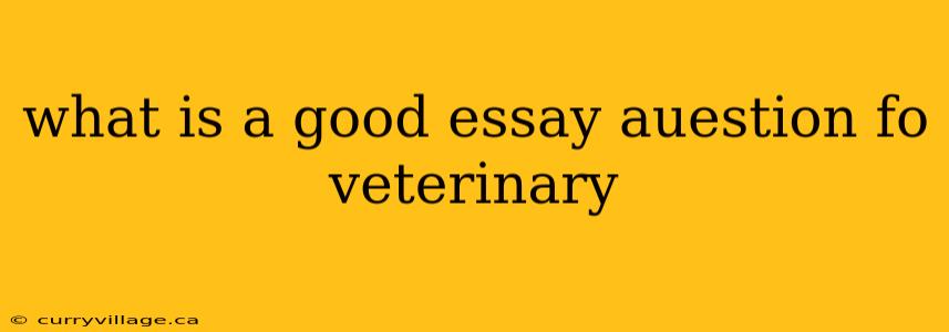 what is a good essay auestion fo veterinary