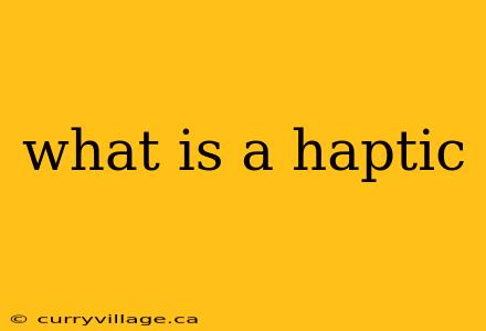 what is a haptic