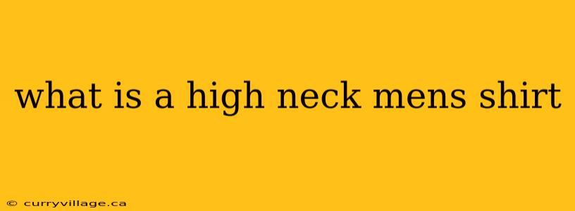 what is a high neck mens shirt