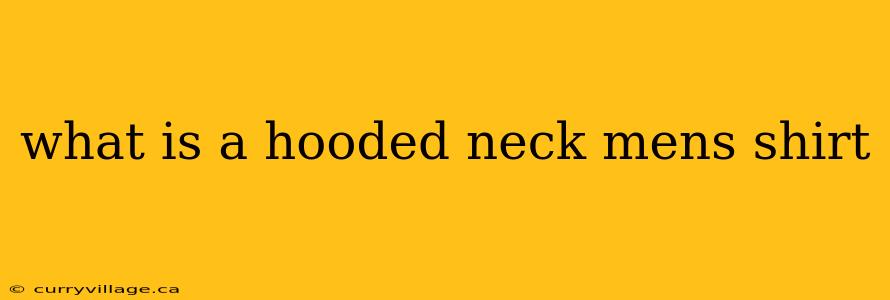what is a hooded neck mens shirt