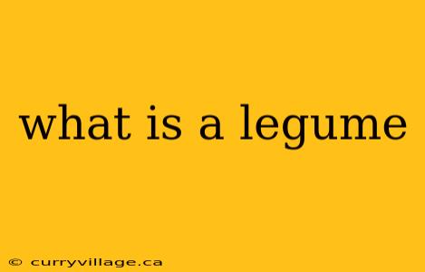 what is a legume