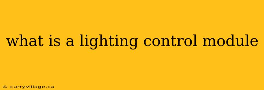 what is a lighting control module