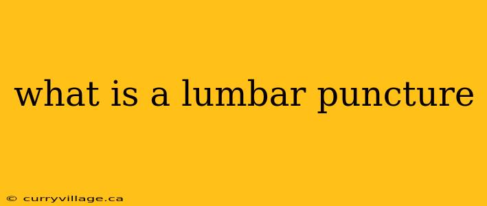 what is a lumbar puncture