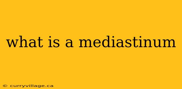 what is a mediastinum