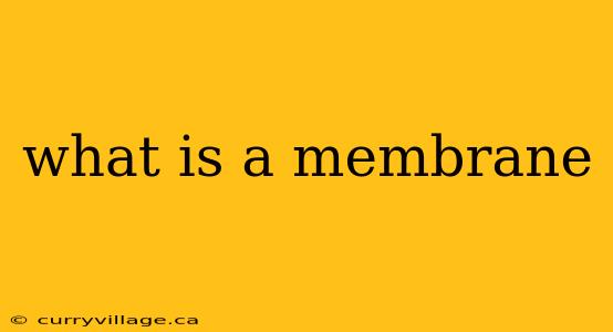 what is a membrane