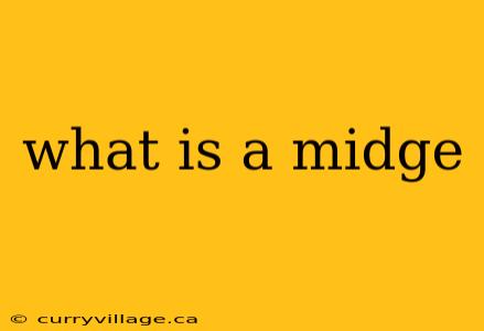 what is a midge