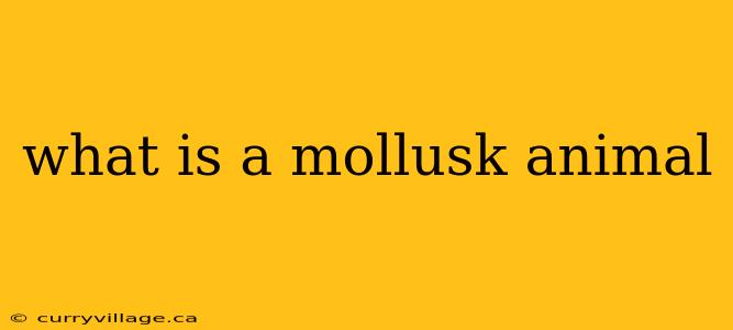 what is a mollusk animal
