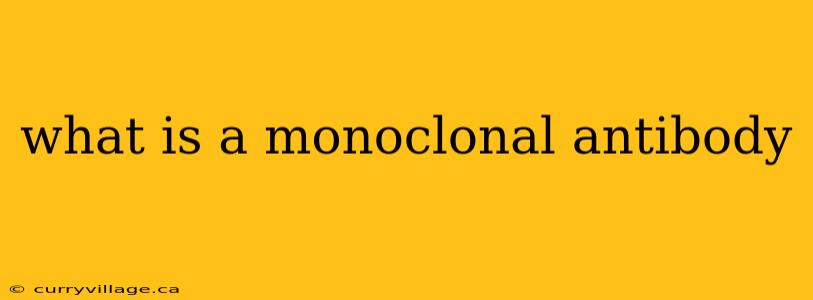 what is a monoclonal antibody