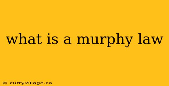 what is a murphy law