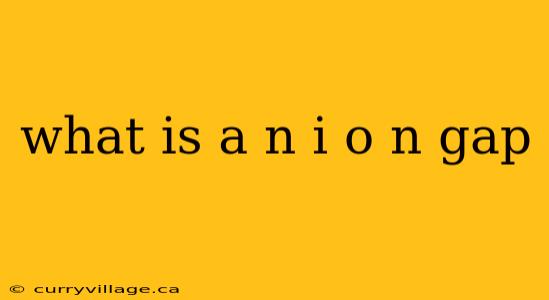 what is a n i o n gap
