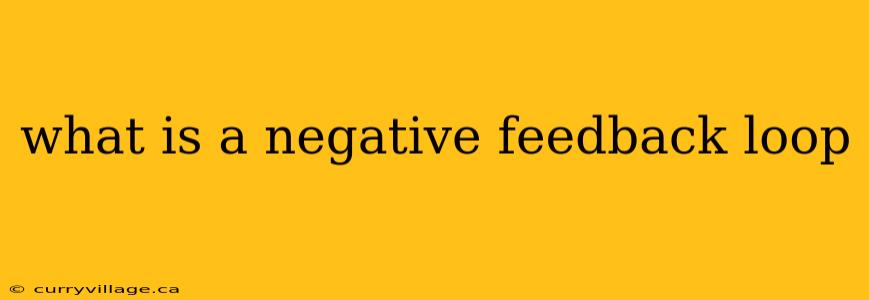 what is a negative feedback loop
