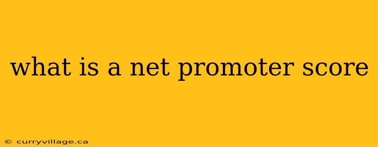 what is a net promoter score