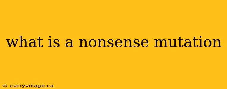 what is a nonsense mutation
