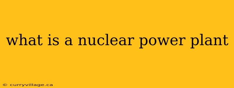 what is a nuclear power plant