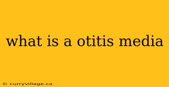 what is a otitis media