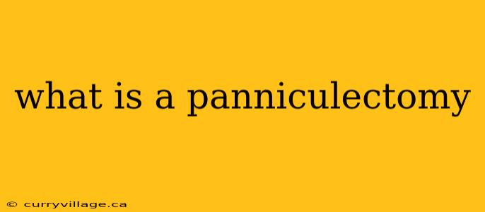 what is a panniculectomy