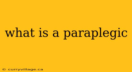 what is a paraplegic
