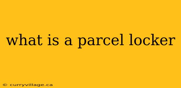 what is a parcel locker