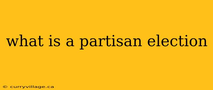 what is a partisan election