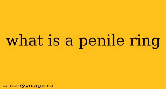 what is a penile ring