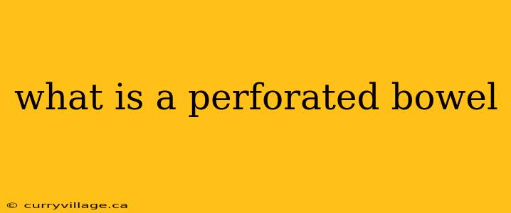 what is a perforated bowel