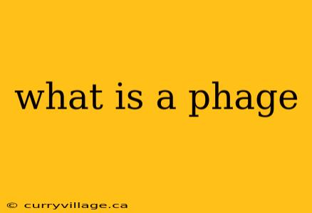 what is a phage