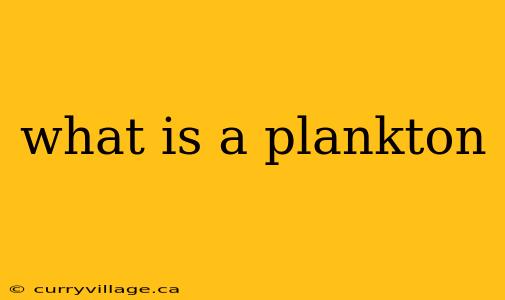 what is a plankton