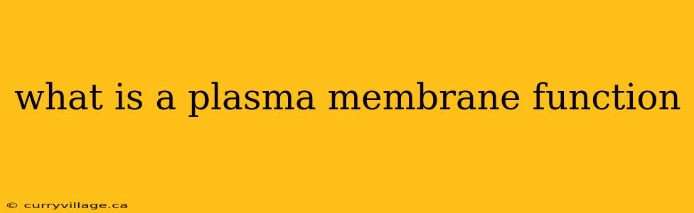 what is a plasma membrane function