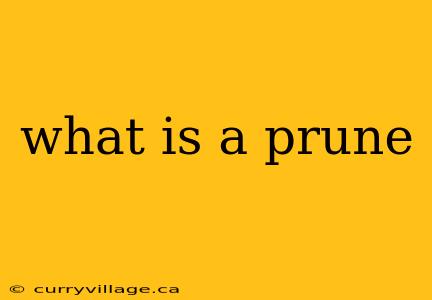what is a prune