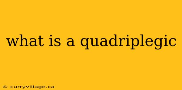what is a quadriplegic