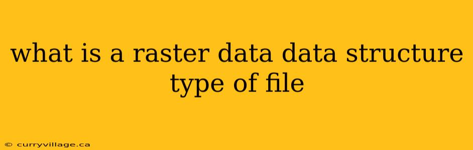 what is a raster data data structure type of file