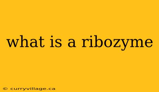 what is a ribozyme