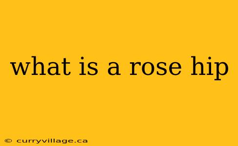 what is a rose hip