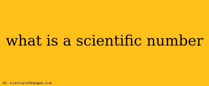what is a scientific number