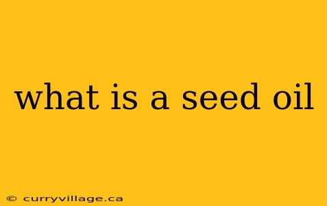 what is a seed oil