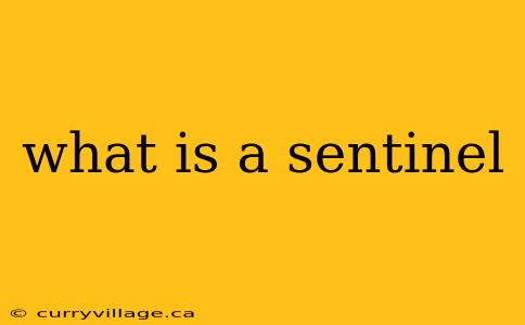 what is a sentinel