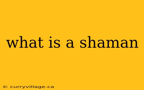what is a shaman