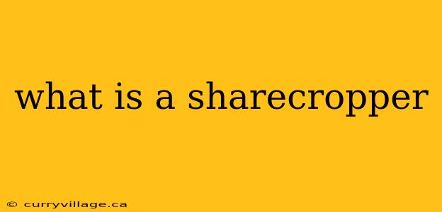 what is a sharecropper