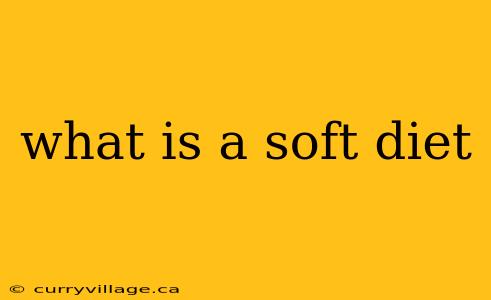 what is a soft diet