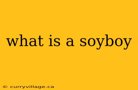 what is a soyboy