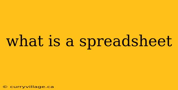 what is a spreadsheet