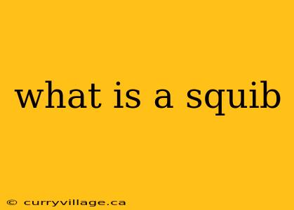 what is a squib