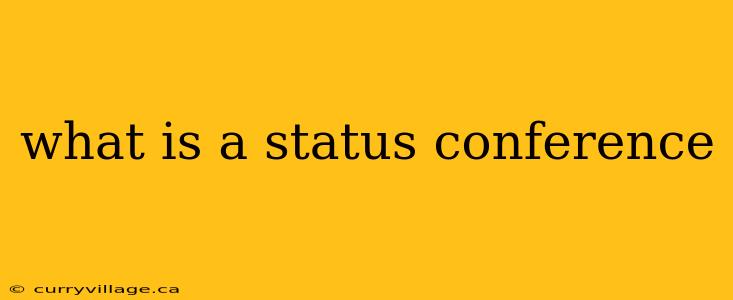 what is a status conference