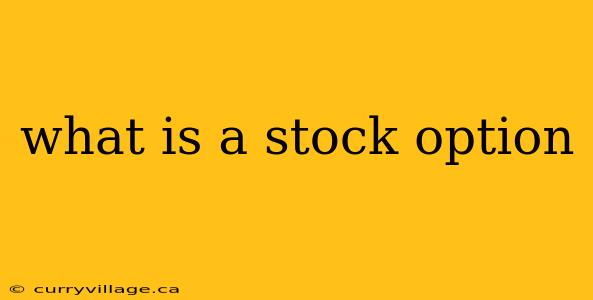 what is a stock option