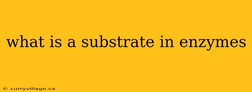 what is a substrate in enzymes