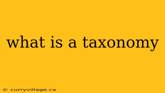 what is a taxonomy