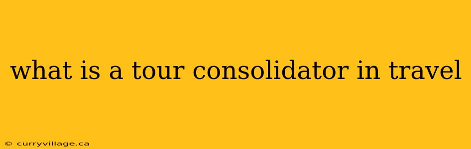 what is a tour consolidator in travel